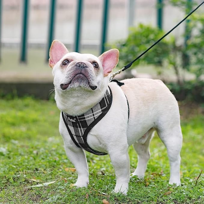 PUPTECK Soft Mesh Dog Harness and Leash Set Pet Puppy Cat Comfort Padded Vest - Image 7