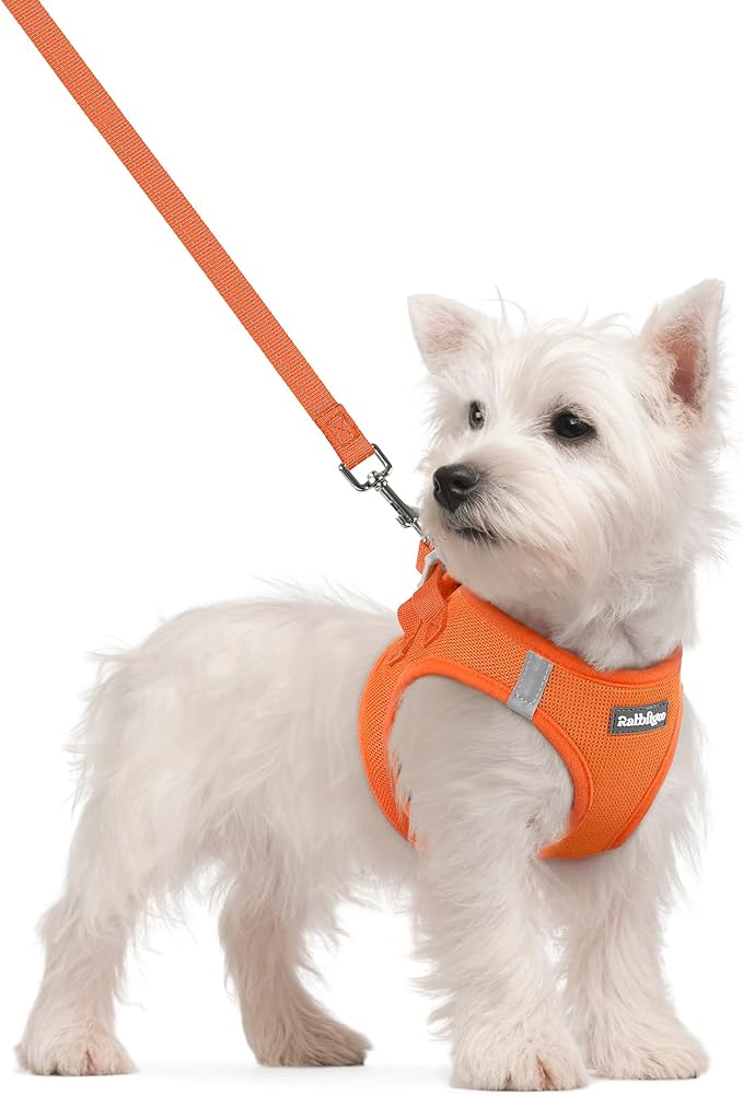rabbitgoo Dog Harness Small Sized and Leash Set, Step in Soft Light Puppy Vest by rabbitgoo