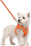 rabbitgoo Dog Harness Small Sized and Leash Set, Step in Soft Light Puppy Vest by rabbitgoo