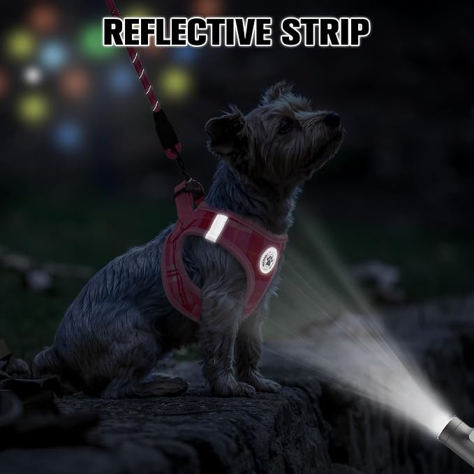 BEAUTYZOO Small Dog Harness and Leash Set, Step in No Choke No Pull Soft Mesh - Image 5