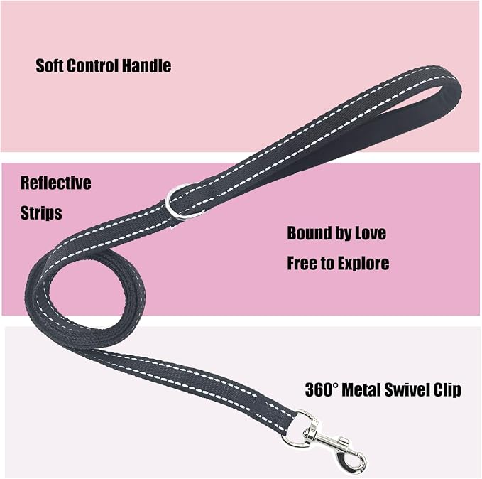 Sparkly Dog Harness Small Sized and Leash Set - Image 3