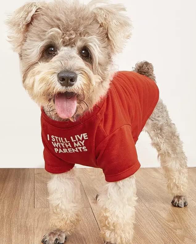 Cute Dog Clothes, T Shirt for Medium and Small Dogs Girl Boy, Puppy.Breathable - Image 2
