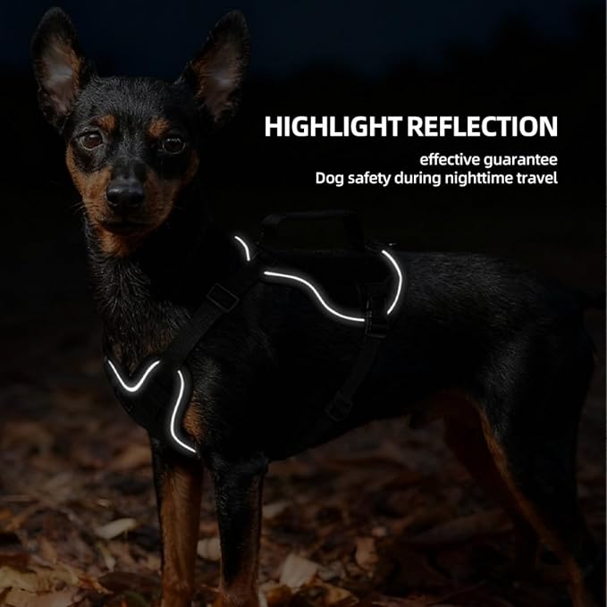 Tactical Dog Harness and Leash Set - Image 6