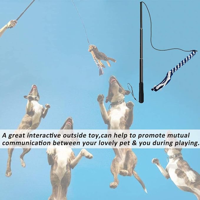 Flirt Pole for Dogs, Interactive Teaser Wand - Image 6