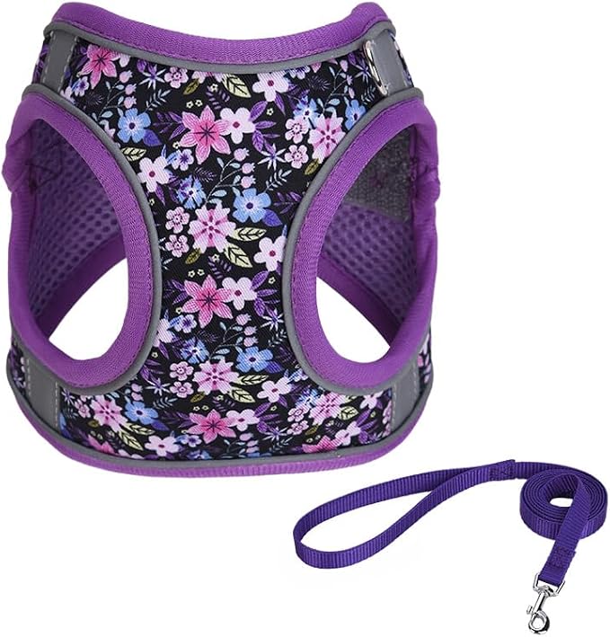 XXS Purple Flower Pattern Dog Harness and Leash Set, No Escape Puppy Harnesses by Unknown