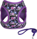 XXS Purple Flower Pattern Dog Harness and Leash Set, No Escape Puppy Harnesses by Unknown