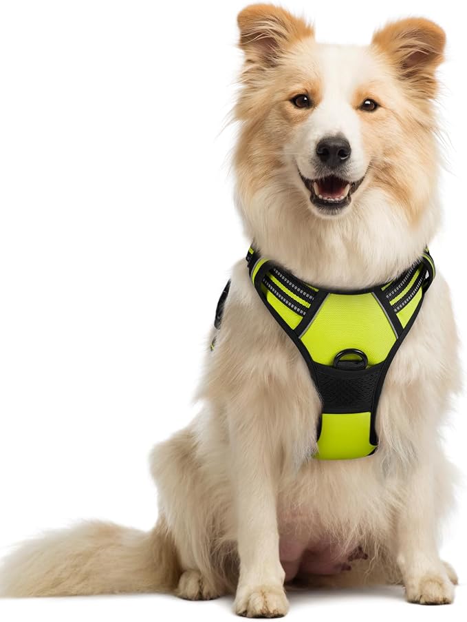 rabbitgoo Dog Harness No Pull by rabbitgoo