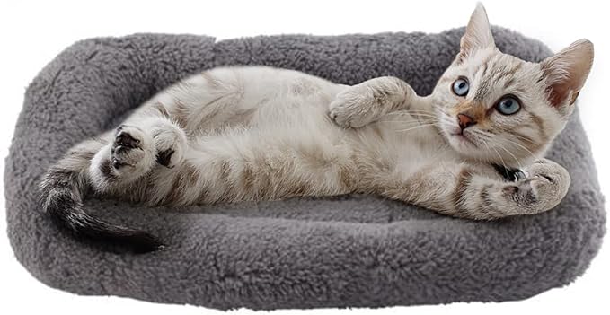 PETLESO Small Cat Bed Mat Plush Pet Cushion, Puppy Curl Sleep Self Warming Mat by PETLESO