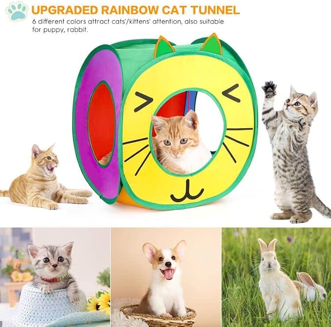 37 PCS Interactive Kitten Toys for Indoor Cats - Image 4