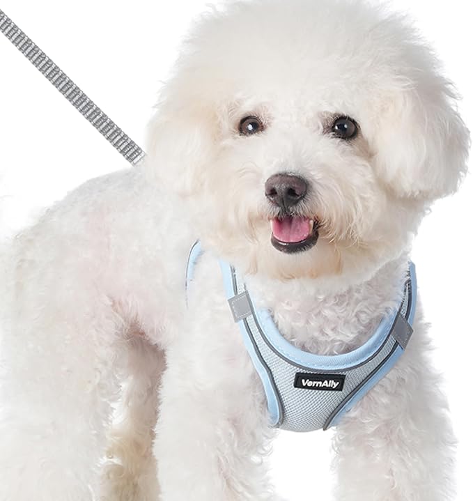 Sparkly Dog Harness Small Sized and Leash Set - Image 2