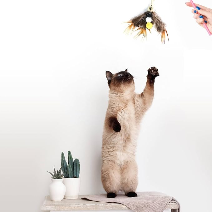 Cat Insect Feather Toys Replacement Cat Toy Wand Refills, 6 Pieces Natural - Image 7