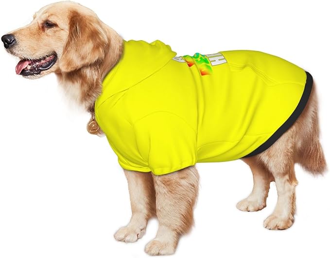 Custom Dog Hoodie with Text Photo, Personalized Pet Clothes Sweatshirt - Image 3