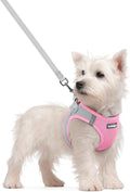 rabbitgoo Dog Harness Small Sized and Leash Set, Step in Soft Light Puppy Vest by rabbitgoo