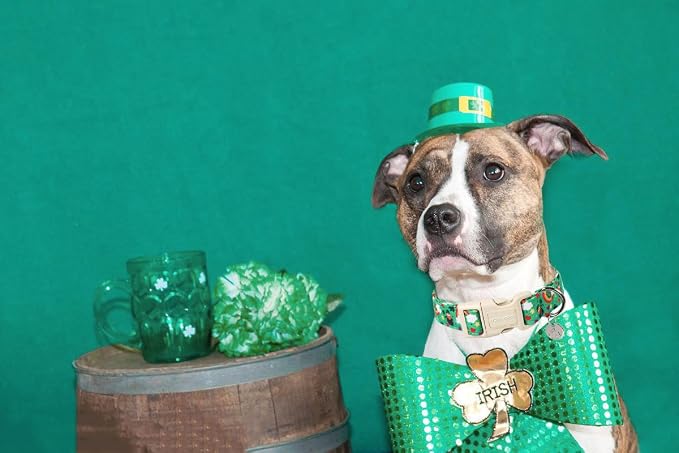 DOGWONG St. Patrick's Day Dog Collar, Lucky Clover Shamrock Green Dog Collar - Image 4
