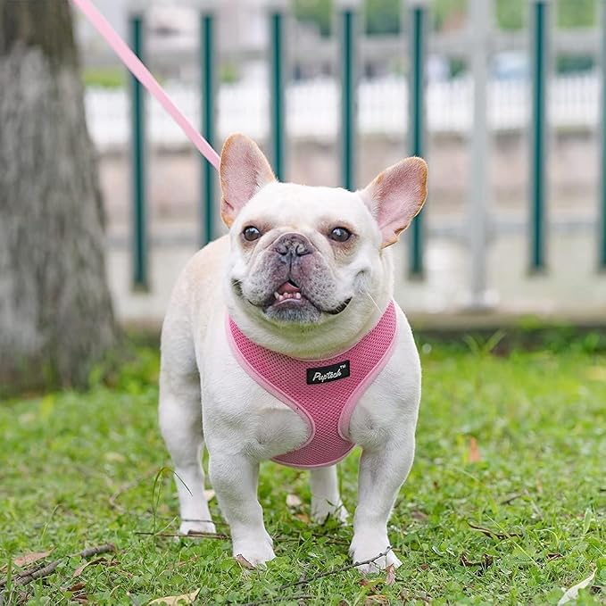 PUPTECK Soft Mesh Dog Harness and Leash Set Pet Puppy Cat Comfort Padded Vest - Image 6