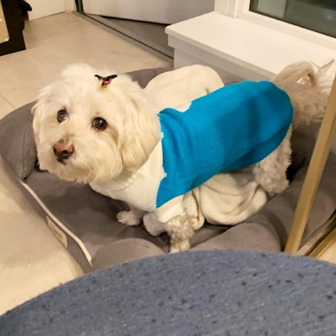 CHBORCHICEN Pet Dog Sweaters Classic Knitwear Turtleneck Winter Warm Puppy - Image 2