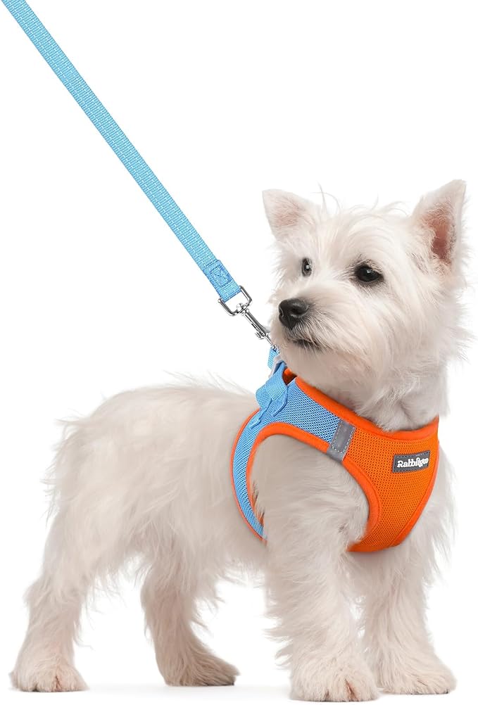 rabbitgoo Dog Harness Small Sized and Leash Set, Step in Soft Light Puppy Vest by rabbitgoo