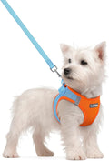 rabbitgoo Dog Harness Small Sized and Leash Set, Step in Soft Light Puppy Vest by rabbitgoo
