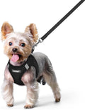 rabbitgoo Dog Harness Small Sized and Leash Set, Step in Soft Light Puppy Vest by rabbitgoo