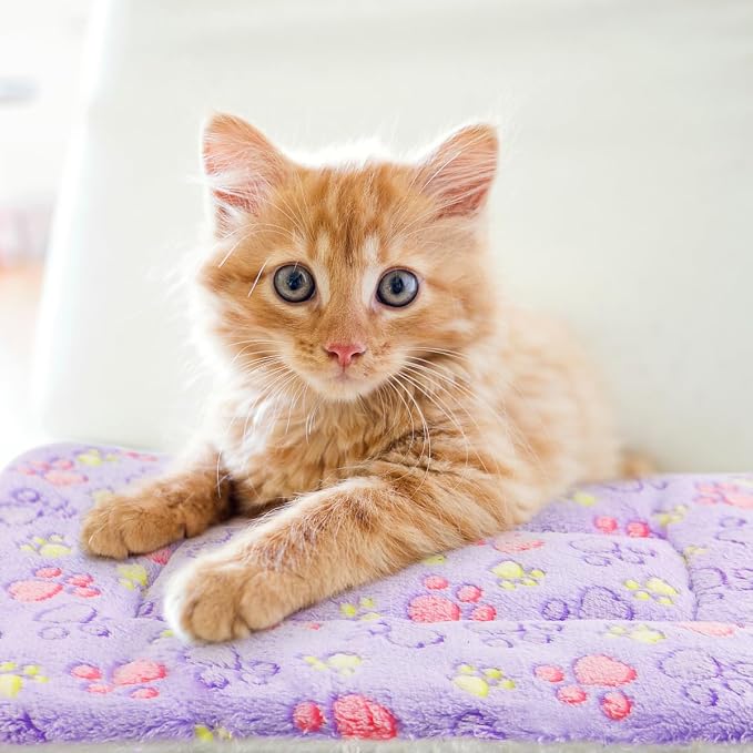 2 Pack Cat Blanket for Indoor Cat, Warm Calming Kitten & Puppy Beds for Anxiety - Image 6