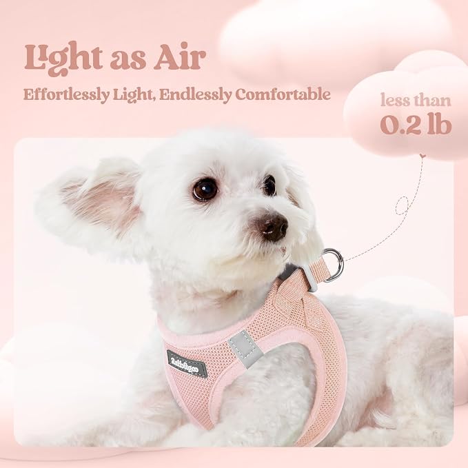 rabbitgoo Dog Harness Small Medium Sized and Leash Set, Step in Soft Light - Image 3