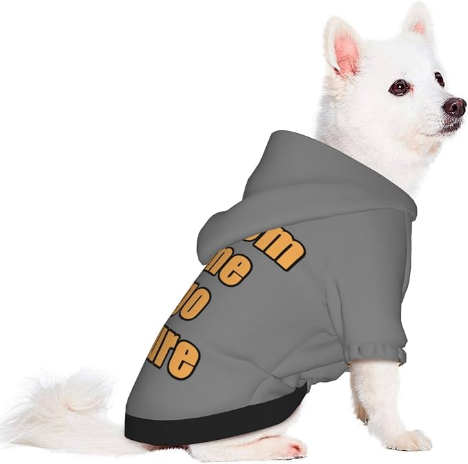 Custom Dog Hoodies for Small Dogs Costume Xmas Pajamas Outfit Pullover Winter - Image 3