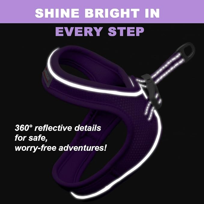 Cat Harness and Leash Set, Escape Proof Kitten Harness, Step in Adjustable Soft - Image 5