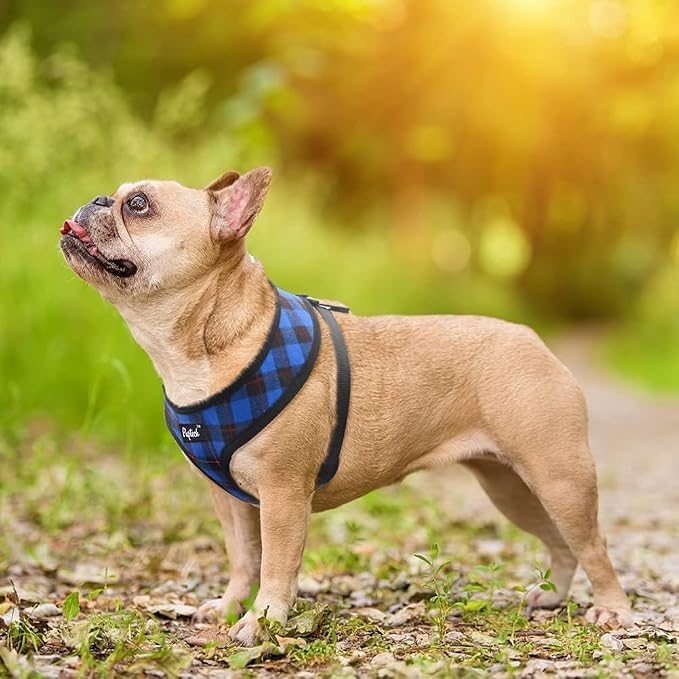 PUPTECK Soft Mesh Dog Harness and Leash Set Pet Puppy Cat Comfort Padded Vest - Image 6
