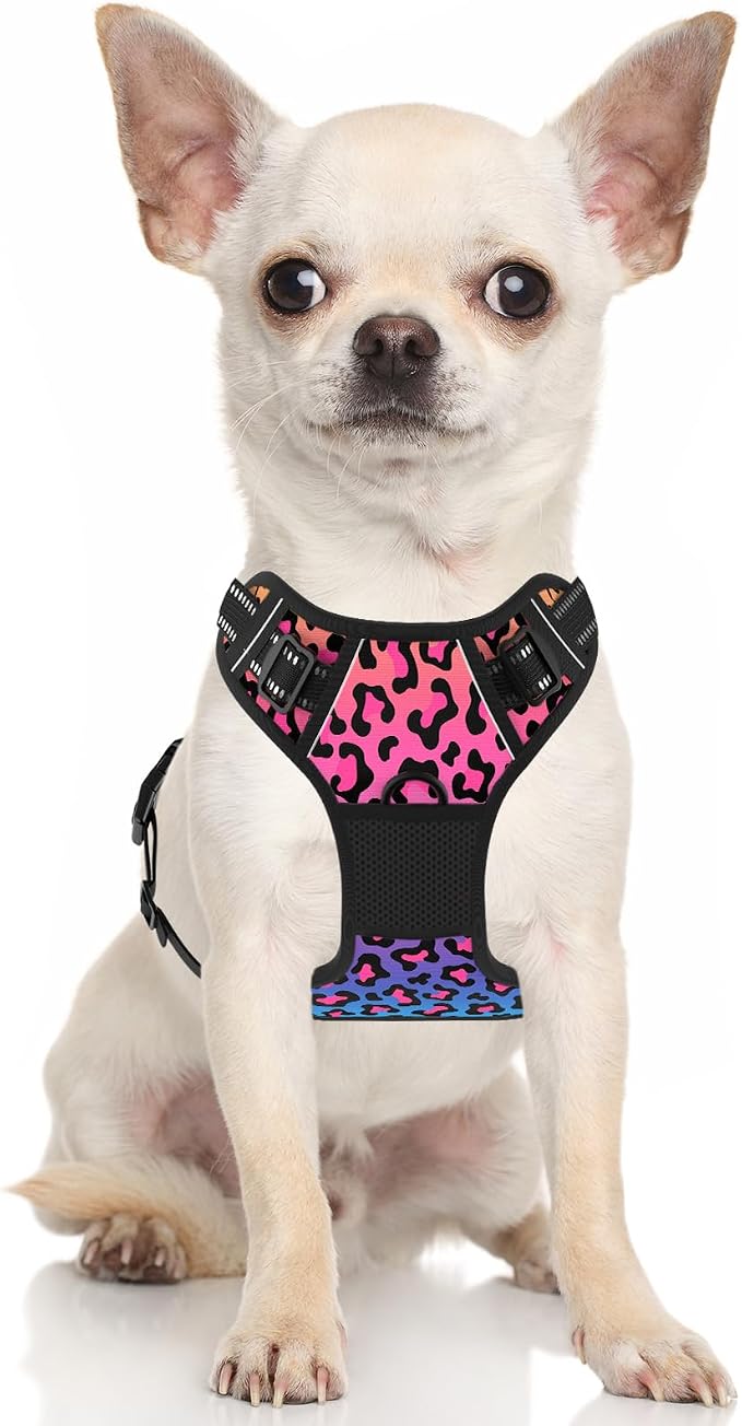 Rnivvi No Pull Dog Harness, Cute Leopard Reflective Small Sized Puppy Kitten - Image 2