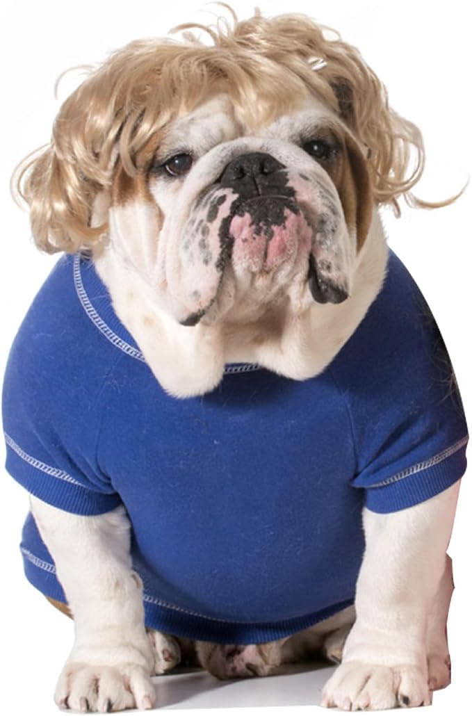 Funny Cosplay Wig for Dog, Headwear Apparel, Pet Costumes, Cat Dress up for by Unknown