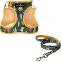 Lucy & Co. Looking Sharp Step-in Cat Harness & Leash Bundle – Reflective by LucyCo