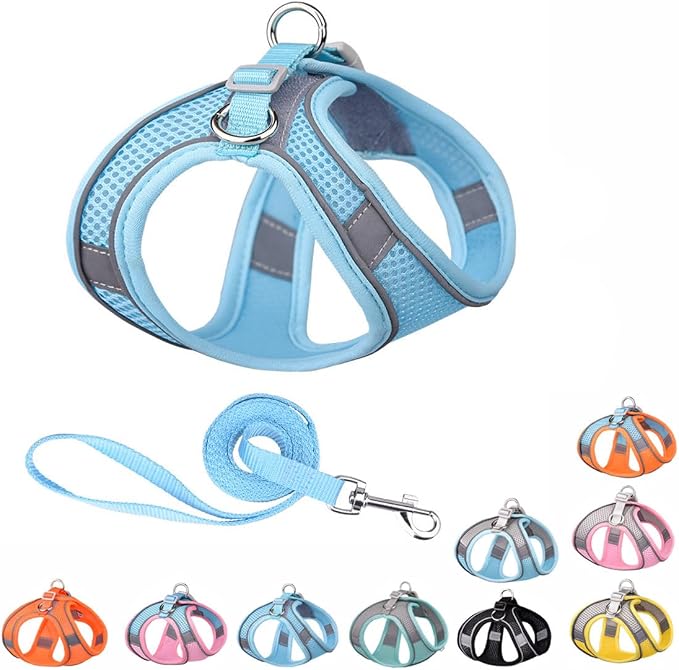 Blue Cat Harness and Leash Set, No-Pull Puppy Harness by YOUALSO