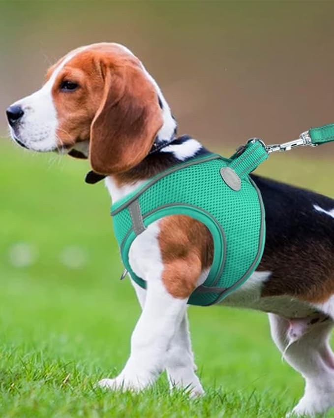 Joytale Small Dog Harness, Breathable Mesh Step-in Vest, Reflective Soft Padded - Image 2