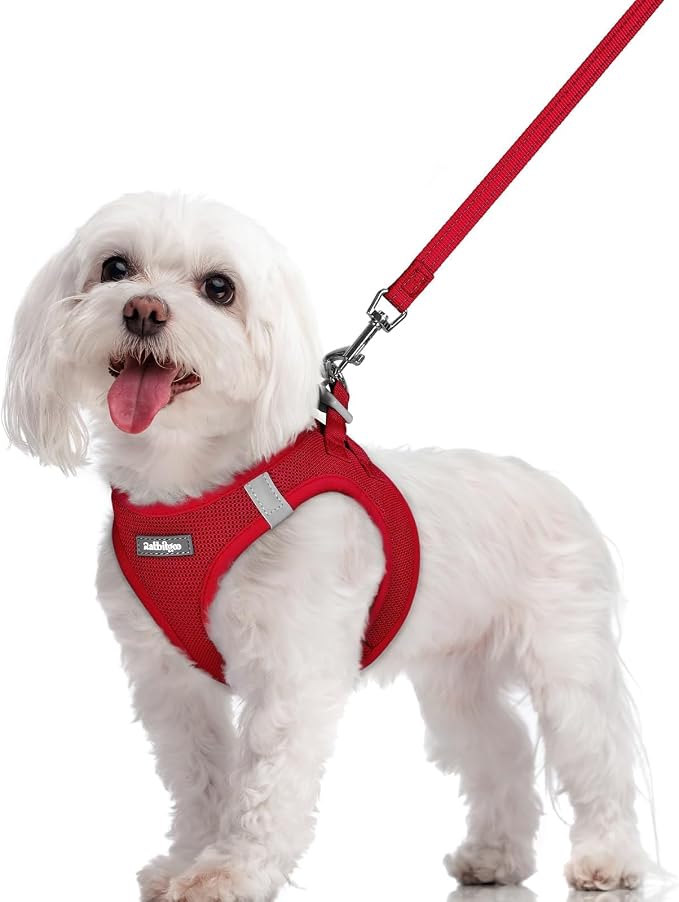 rabbitgoo Dog Harness Small Sized and Leash Set, Step in Soft Light Puppy Vest by rabbitgoo