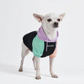 Spark Paws Dog Hoodie – Premium Dog Sweater by SparkPaws