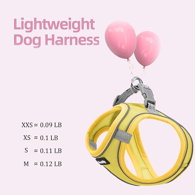 Sparkly Dog Harness Small Sized and Leash Set - Image 4