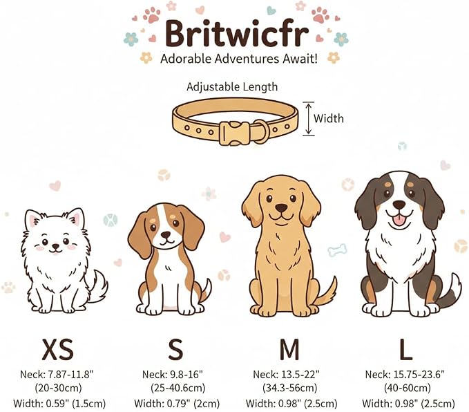 Girl Dog Collar, Cute Dog Collar - Image 3
