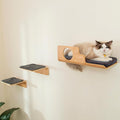 Cat Wall Shelves with 2 Steps, Creative Design Cat Shelf with Peephole by LIORCE