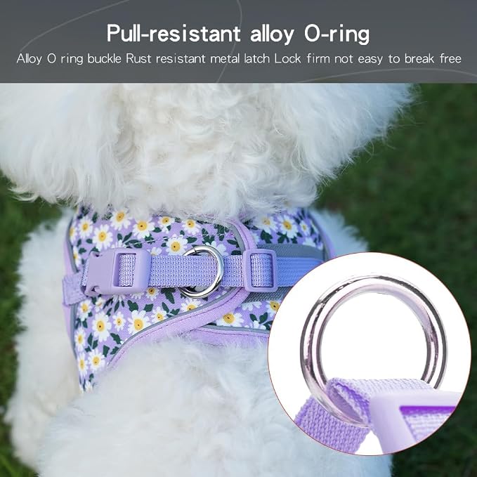 Step in Dog Harness and Leash Set, Flower Adjustable Easy Walk Puppy Harnesses - Image 4