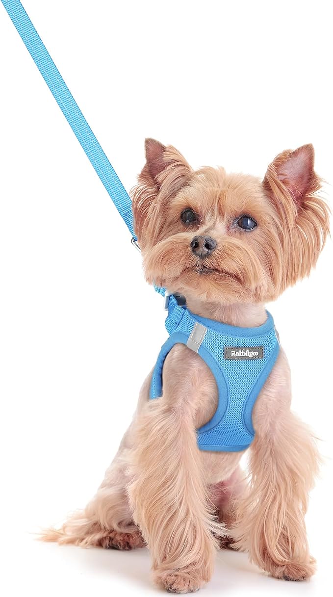 rabbitgoo Dog Harness Small Sized and Leash Set, Step in Soft Light Puppy Vest by rabbitgoo