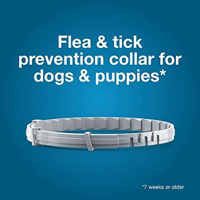 Seresto Small Dog Vet-Recommended Flea & Tick Treatment & Prevention Collar - Image 4