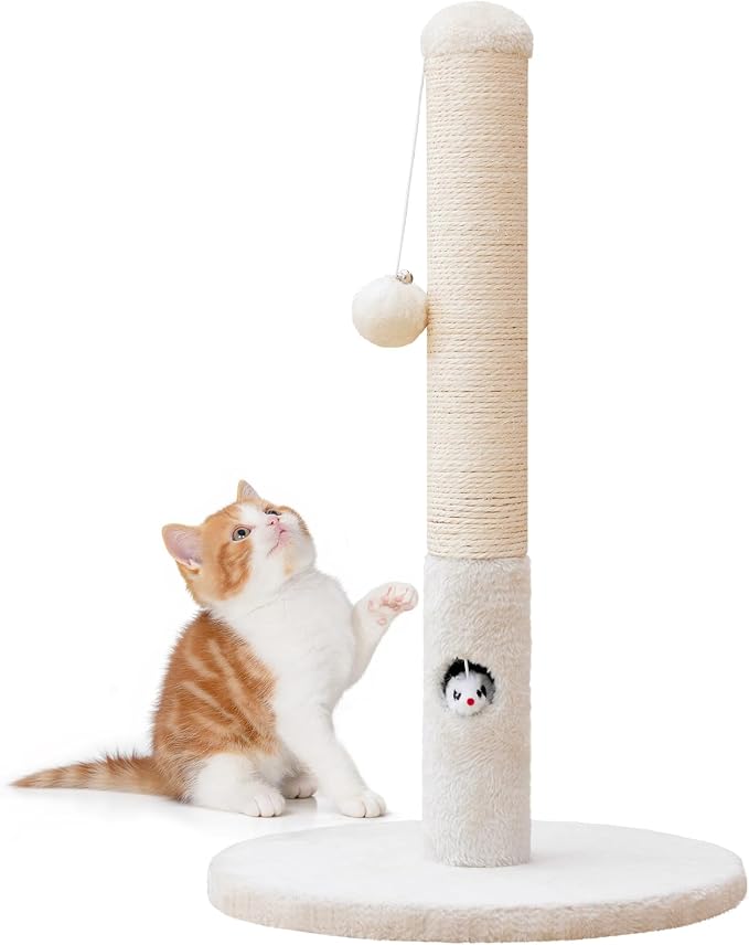 Cat Scratching Post for Kitten, 23in Tall Cute Small Cat Scratching Post by WOOCHPET