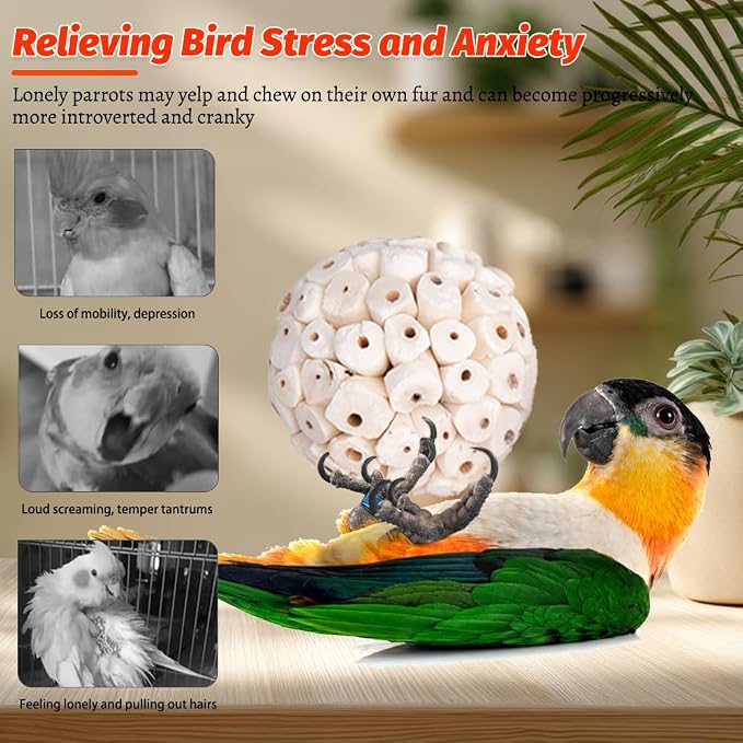 6 Pack Bird Toy Sola Balls, Natural Parrot Soft Chew Shredding & Foraging Toy - Image 4