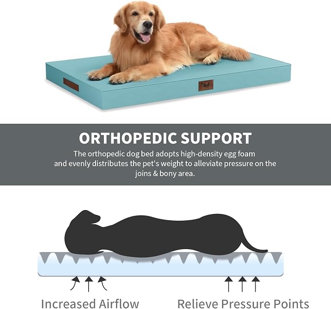 Outdoor Dog Bed for Small Dogs & Cats, Waterproof Dog Crate Mat Orthopedic Egg - Image 3