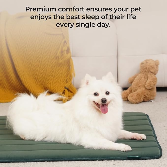 BALANCE Dog Crate Pad, Dog Foam Crate Mat Kennel Pad, Washable Water-Resistant - Image 2