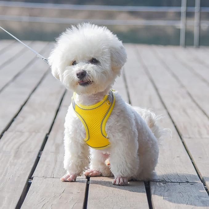 Yellow Dog Harness for Medium Dogs, No-Pull Dog Harness and Leash for Easy Walk - Image 5