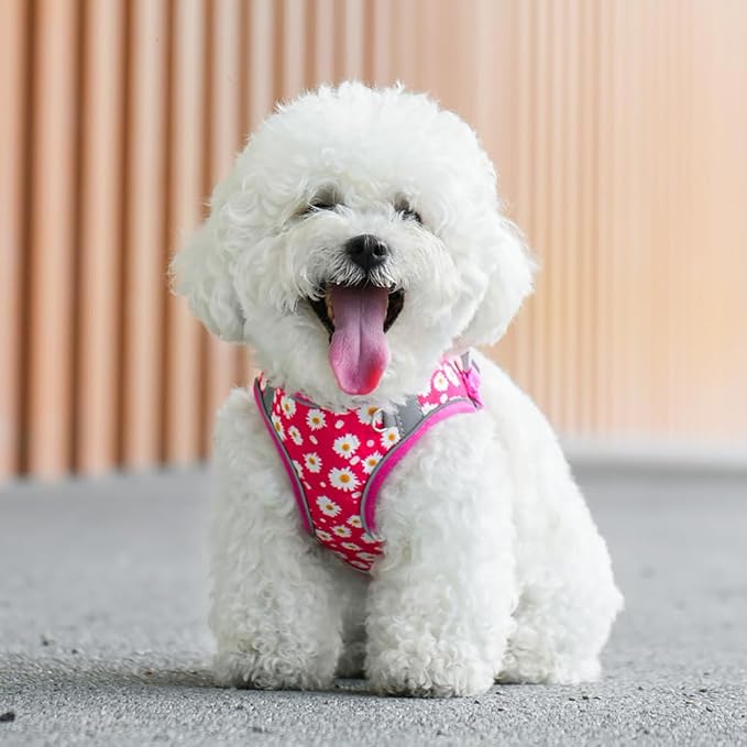 Step in Dog Harness and Leash Set, Flower Adjustable Easy Walk Puppy Harnesses - Image 5