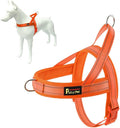 Plutus Pet No Pull Dog Harness by PLUTUSPET