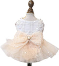 Fashion Sweet Puppy Dog Blingbling Princess Skirt Pet Dog Lace Cake Camisole by MaruPetyourkidsfriends