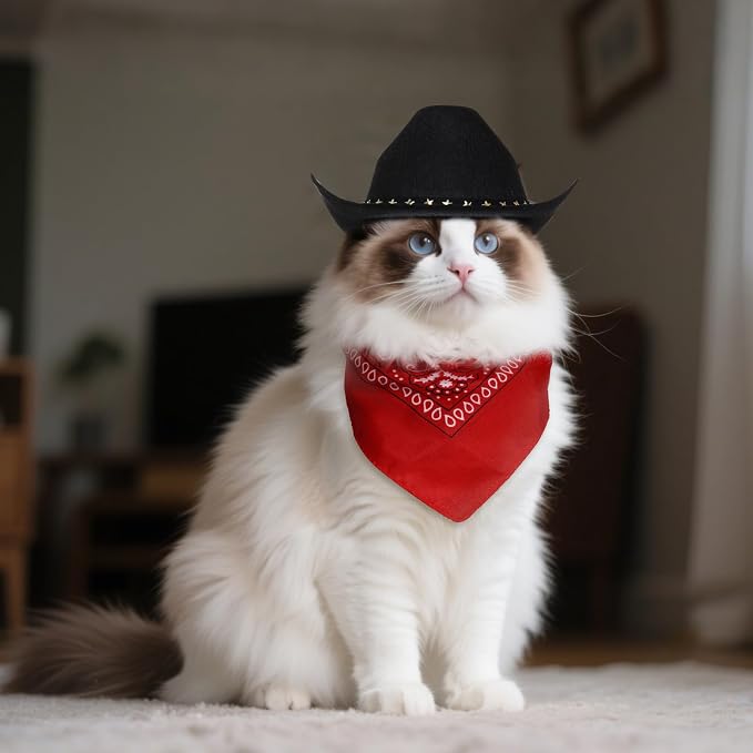 choyaxo Halloween Costumes for Dogs Cat Pet Cowboy Costume Cowboy Hat - Image 4